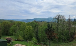 Widok z pokoju nr 5