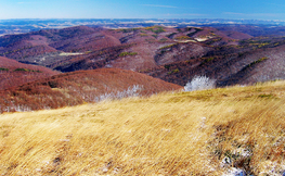 Widok z Połoniny Caryńskiej,  Fot. Łukasz Barzowski