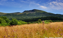 Tarnica, Fot. Łukasz Barzowski