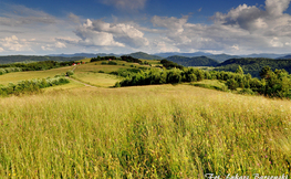 Widok z Wierchów na Wysokie Bieszczady, Fot. Łukasz Barzowski