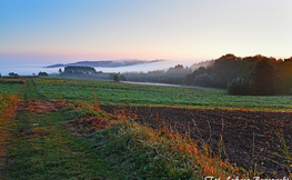 Poranne mgły, Fot. Łukasz Barzowski