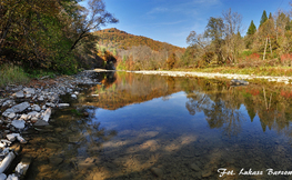 Rzeka Solinka, Fot. Łukasz Barzowski