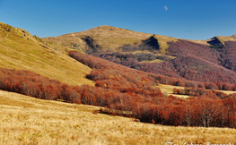 Widok na Halicz, Fot. Łukasz Barzowski