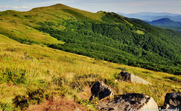 Widok na Halicz i Rozsypaniec, Fot. Łukasz Barzowski