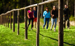 Nordic Walking jest jedną z form aktywnego spędzania wolnego czasu, źródło Internet