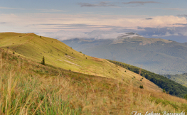 Tarnica w chmurach, Fot. Łukasz Barzowski