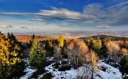 Panorama z wieży widokowej na Korbani na Jezioro Solińskie, Fot. Łukasz Barzowski