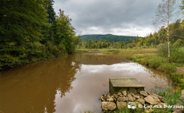 Jezioro Bobrowe pod górą Chryszczatą, Fot. Łukasz Barzowski