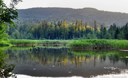 Jeziorko Bobrowe, Fot. Łukasz Barzowski