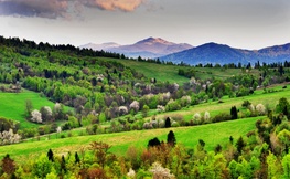 Widok z nieistniejącej wsi Tyskowa na Wysokie Bieszczady, Fot. Łukasz Barzowski
