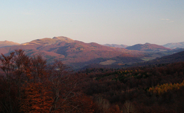 Tarnica,  Fot. Łukasz Barzowski