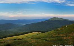 Tarnica, Fot. Łukasz Barzowski