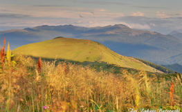 Połonina Caryńska i Tarnica w tle, Fot. Łukasz Barzowski