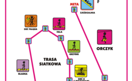 Jedna z tras w Parku Linowym Lemur w Polańczyku, źródło Internet