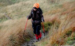 Nordic Walking jest jedną z form aktywnego spędzania wolnego czasu, źródło Internet