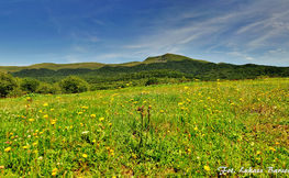 Tarnica i Szeroki Wierch, Fot. Łukasz Barzowski