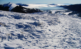 Połonina Caryńska i Tarnica podczas inwersji temperatur, Fot. Łukasz Barzowski