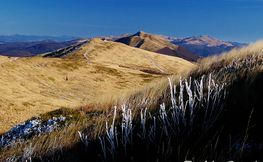 Połonina Wetlińska, Połonina Caryńska i Tarnica,  Fot. Łukasz Barzowski