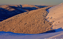 Poranne światło i Tatry z Bieszczad, Fot. Łukasz Barzowski