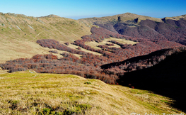 Widok na Halicz ze zboczy Tarnicy, Fot. Łukasz Barzowski