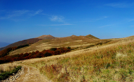 Połonina Wetlińska,  Fot. Łukasz Barzowski