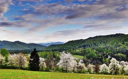 Wiosna w Bieszczadach, Fot. Łukasz Barzowski