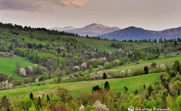 Widok na Smerek i Wysokie Bieszczady, Fot. Łukasz Barzowski