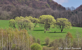 Wiosna nad Jeziorem Solińskim, Fot. Łukasz Barzowski