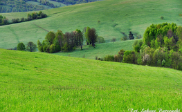 Cerkiewisko w Radziejowej, Fot. Łukasz Barzowski