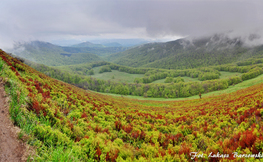 Widok ze zboczy Krzemienia, Fot. Łukasz Barzowski