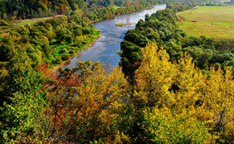 Widok na zakole Sanu z ruin zamku Kmitów na Górze Sobień