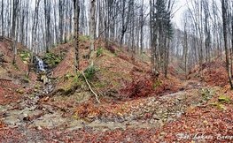 Wodospad Czartów Młyn, Fot. Łukasz Barzowski